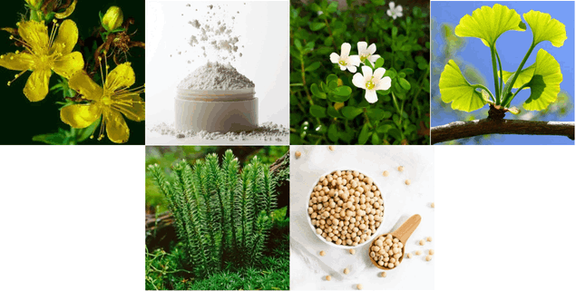 Neuro Sharp ingredients